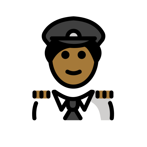 1F9D1 1F3FE 200D 2708 FE0F Vector