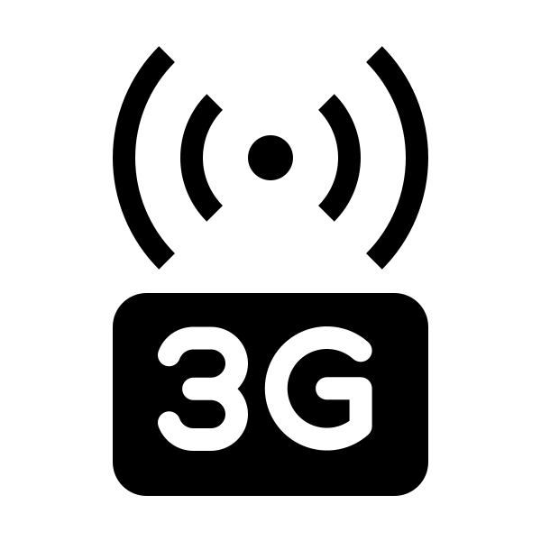 3g