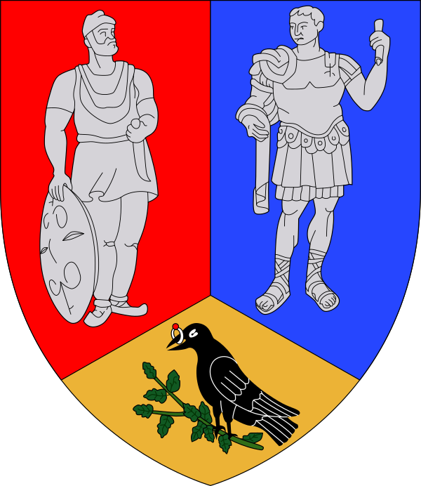 Actual Hunedoara County CoA