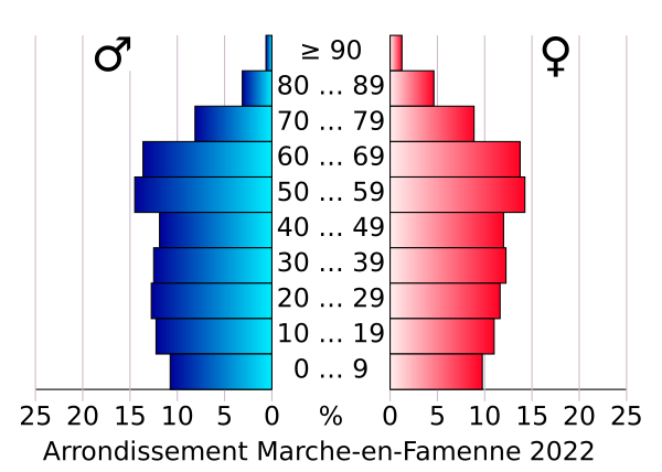 AgeSexPyramid 2022 Arrondissement Marche En Famenne