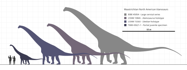 Alamosaurus Scale Chart Steveoc