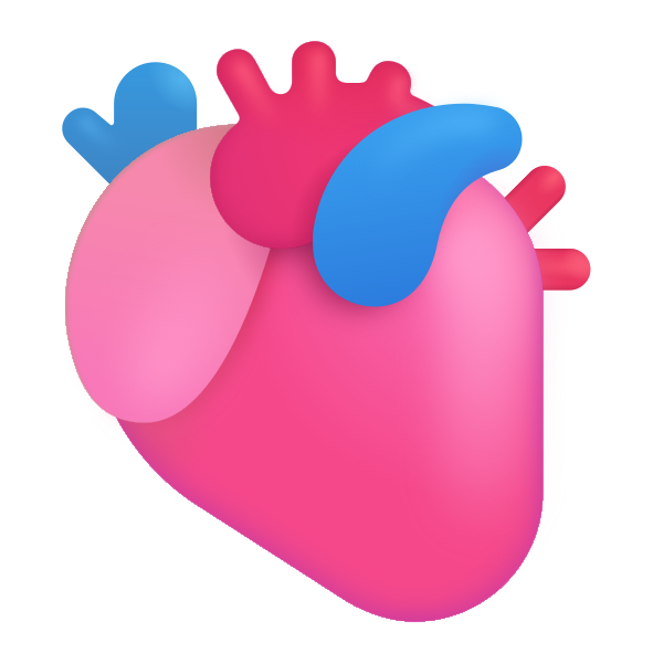 Anatomical Heart Color Vector