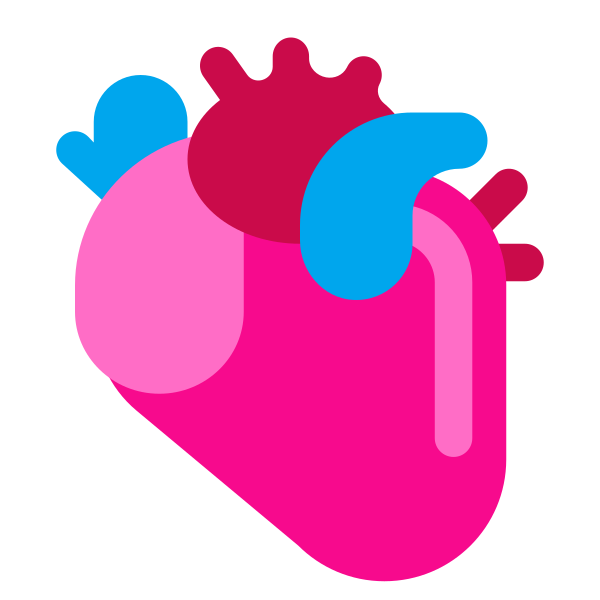 Anatomical Heart Flat
