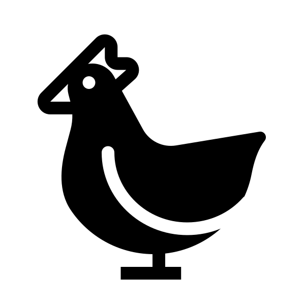 Animal Chicken