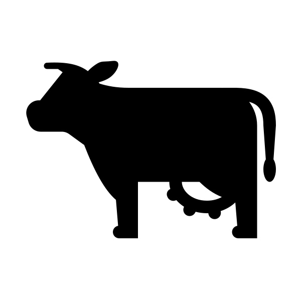 Animal Cow