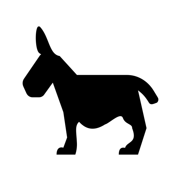 Animal Donkey