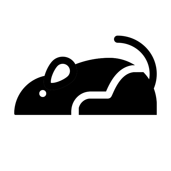 Animal Rat
