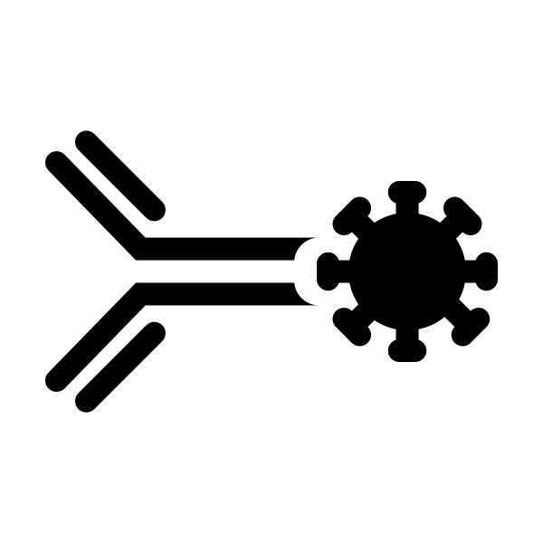 Antibody