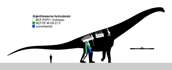 Argentinosaurus 9