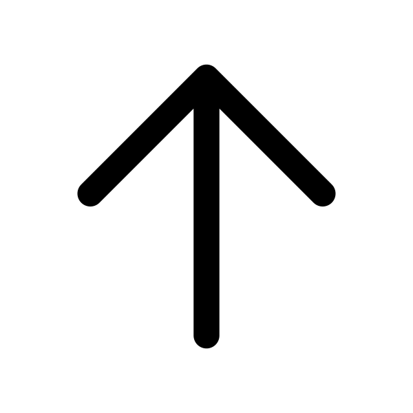 Arrow Small Up