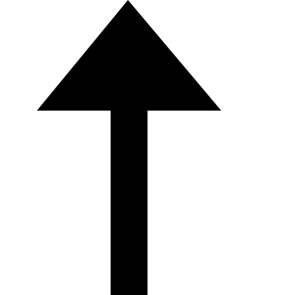 Arrow Top