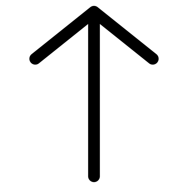 Arrow Top