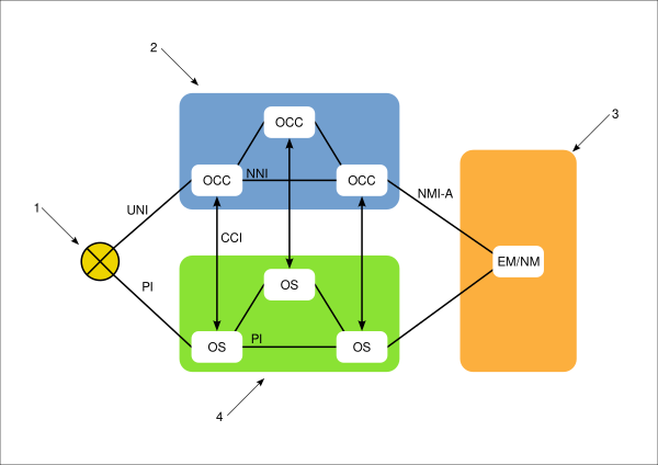ASON Logical Structure