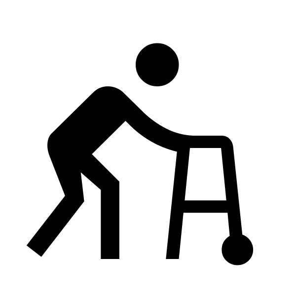 Assist Walker