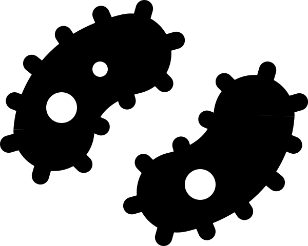 Bacteria