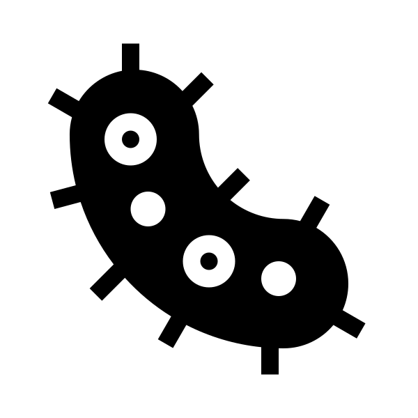 Bacteria