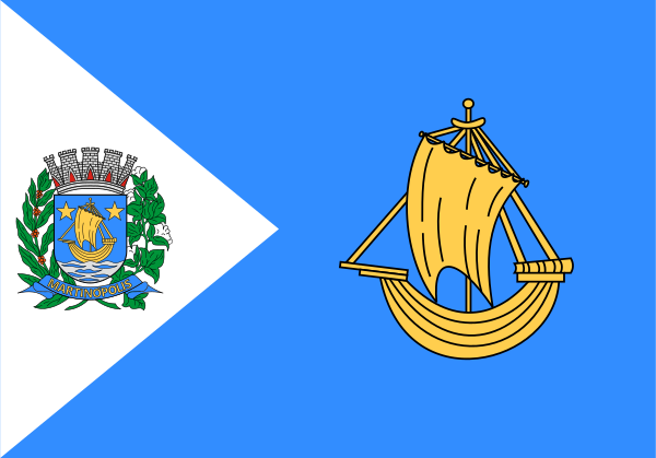 Bandeira De Martinópolis