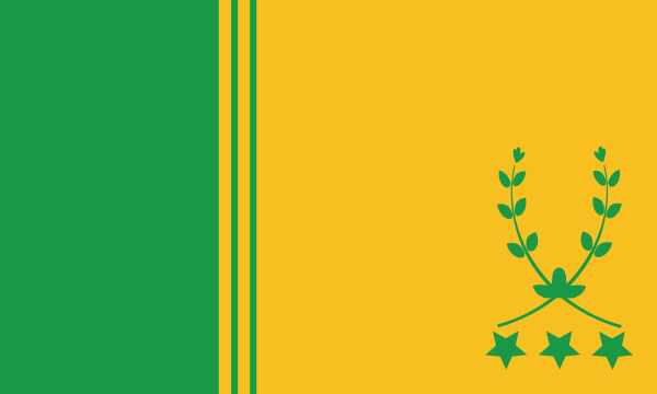 Bandera Cantón De Flores, Heredia, Costa Rica
