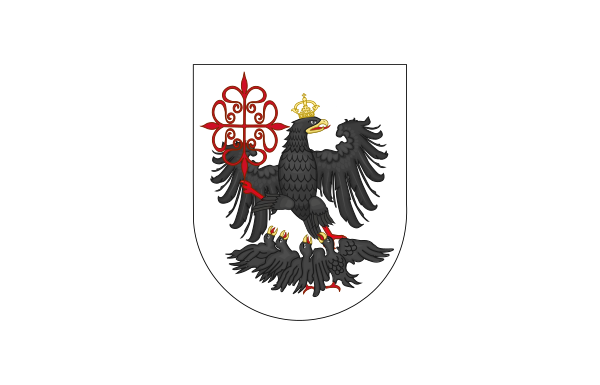 Bandera De La Ciudad De Buenos Aires