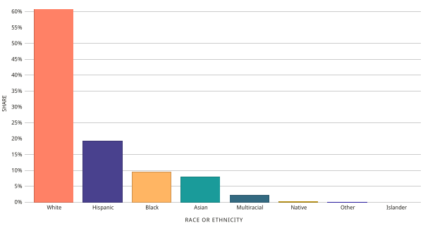 Bar Chart Of Race & Ethnicity In Denton County, Tx (2015)
