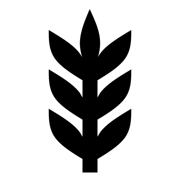 Barley