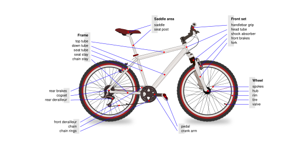 Bicycle Diagram Vector