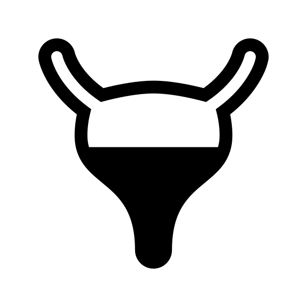Bladder