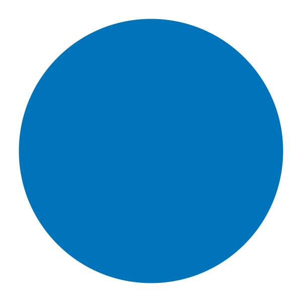 Blue Circle Flat