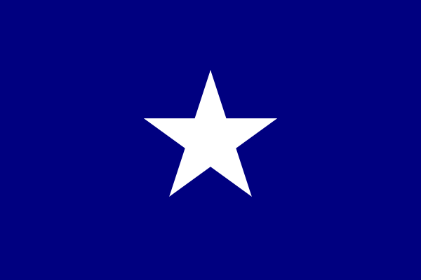 Bonnie Blue Flag