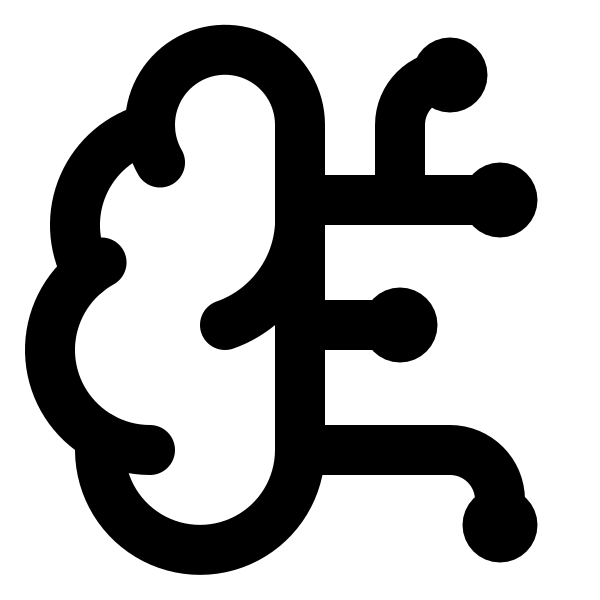 Brain Circuit
