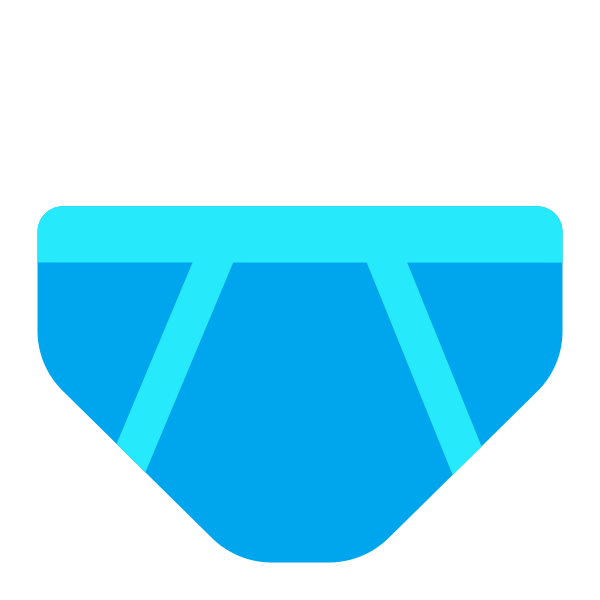 Briefs Flat Vector