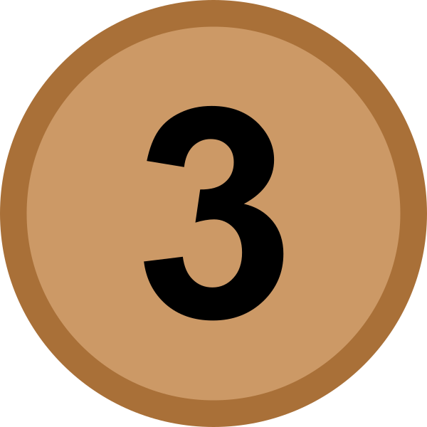 Bronze Medal Icon