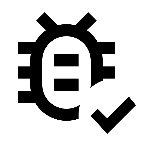 Bug Check Outline
