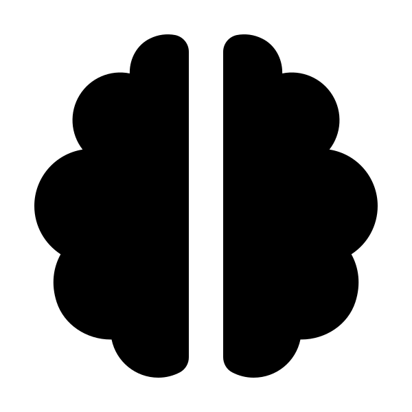 Bxs Brain