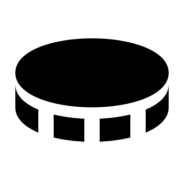 Bxs Coin