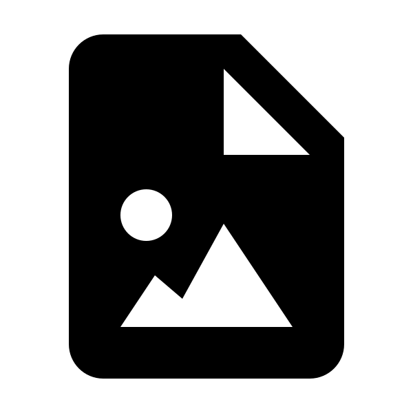 Bxs File Image