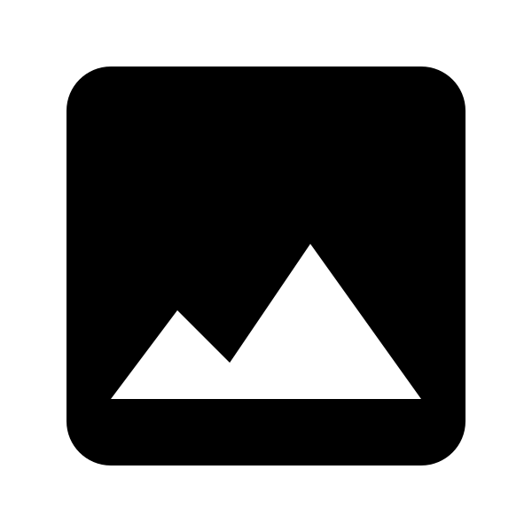 Bxs Image Alt