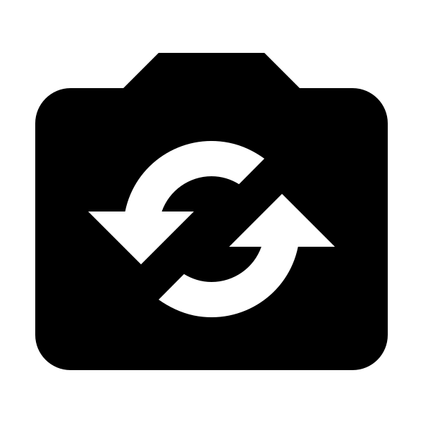 Camera Flip