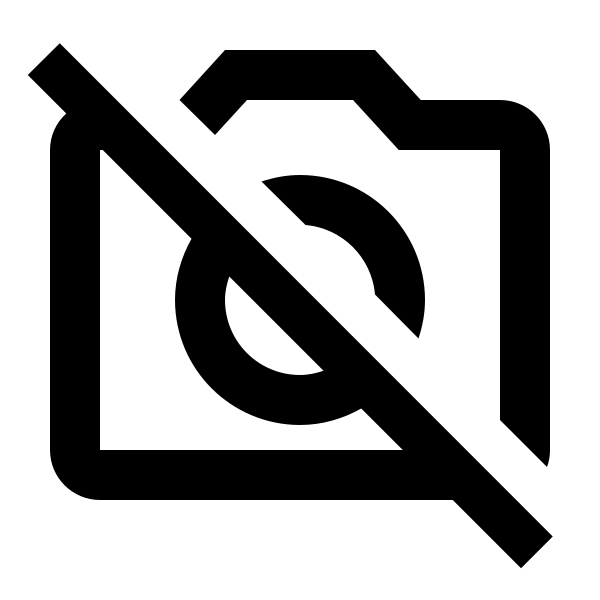 Camera Off Outline