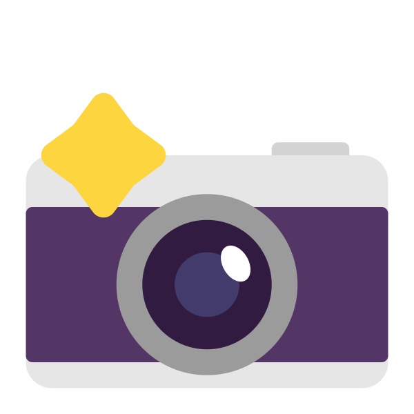 Camera With Flash Flat