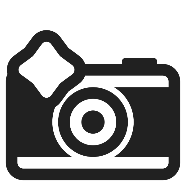 Camera With Flash High Contrast Vector