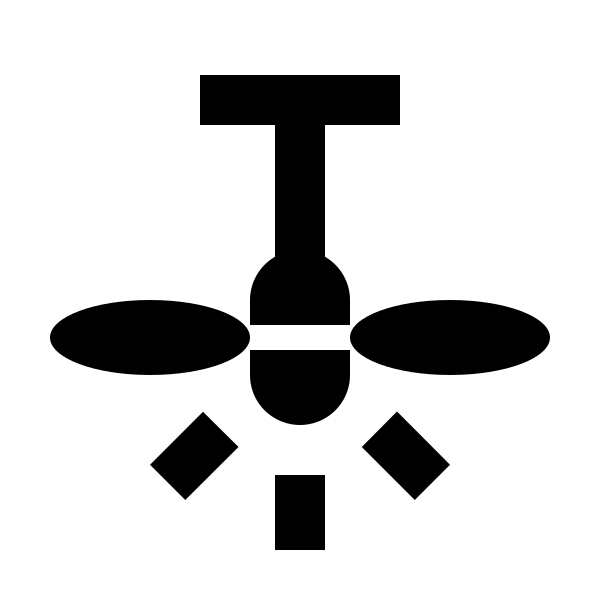 Ceiling Fan Light