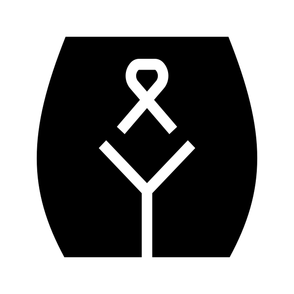 Cervical Cancer