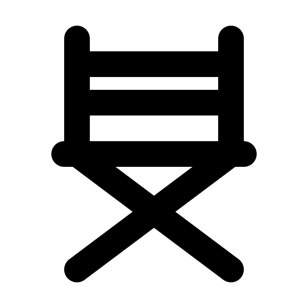 Chair Director