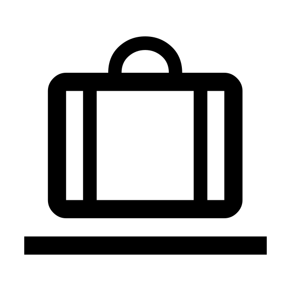 Checked Bag