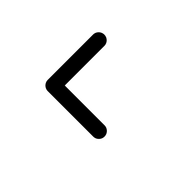 Chevron Left 16
