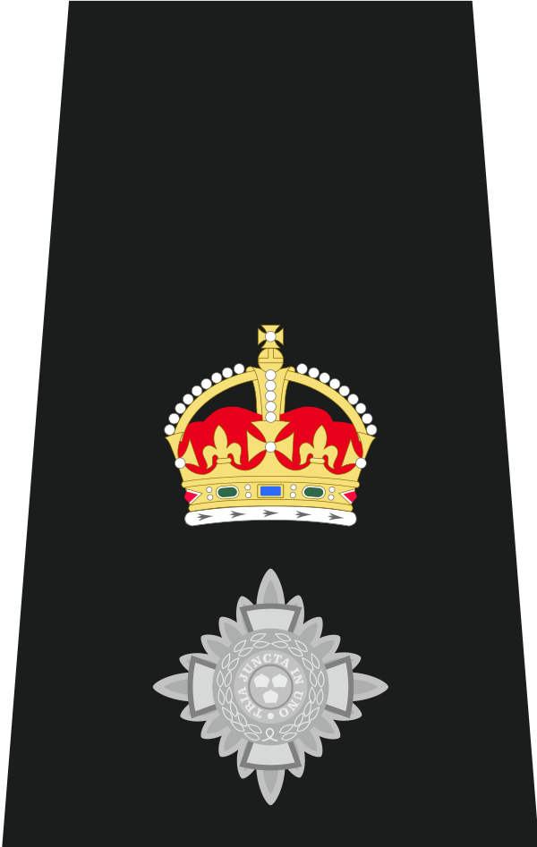 Chief Superintendent Insignia (Tudor Crown)