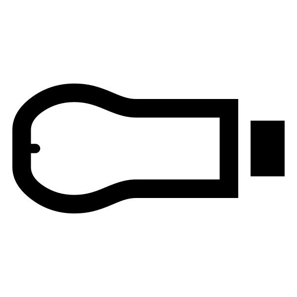 Chromecast Device