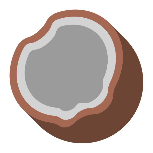Coconut Flat Vector