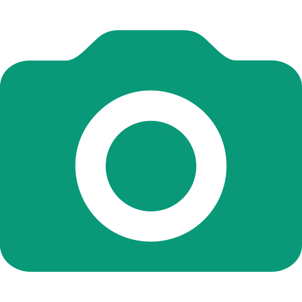 Codex Icon Camera Color Success